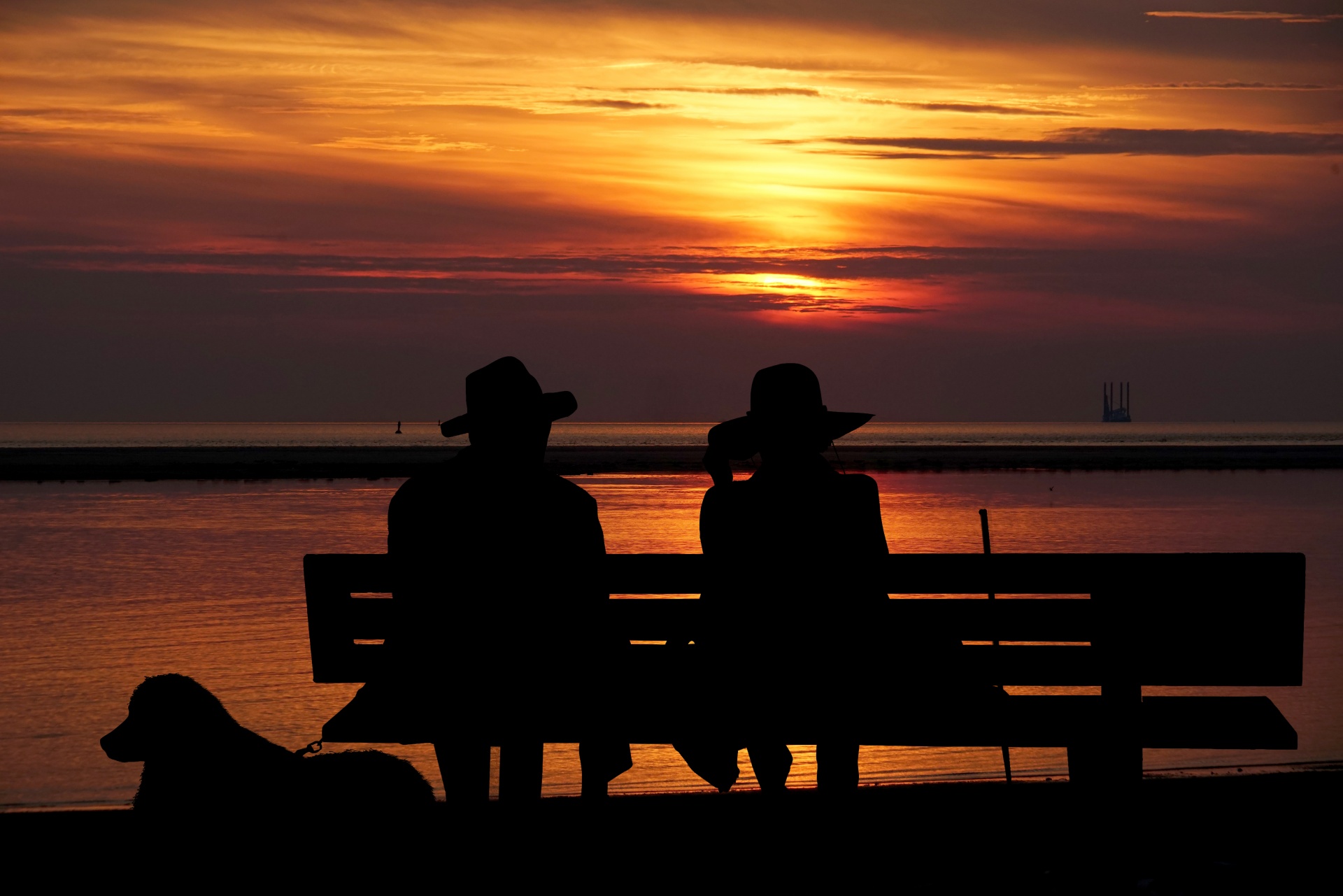 VTV: 22 aluetta, 22 erilaista omaishoidon tukea – Iäkkäät eriarvoisessa asemassa