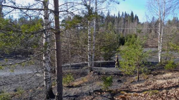 :POHJOIS KARJALA: Useita maastopaloja – maastopalovaroituksen aikaan avotulta ei saa sytyttää